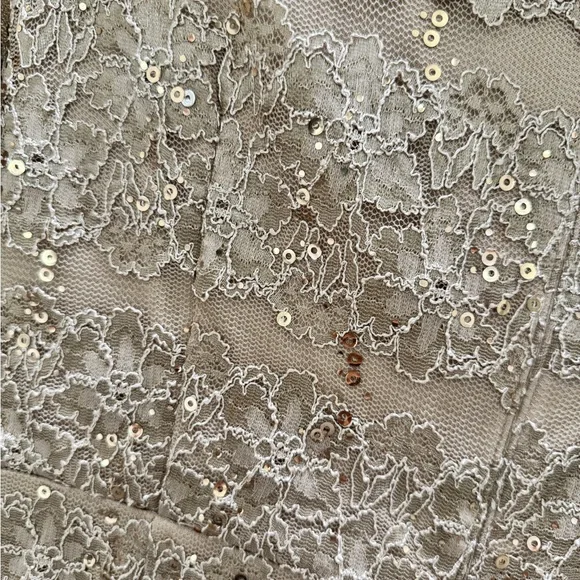 Jessica Howard Elegant sequins & Lace Dress in champagne color - Picture 4 of 10
